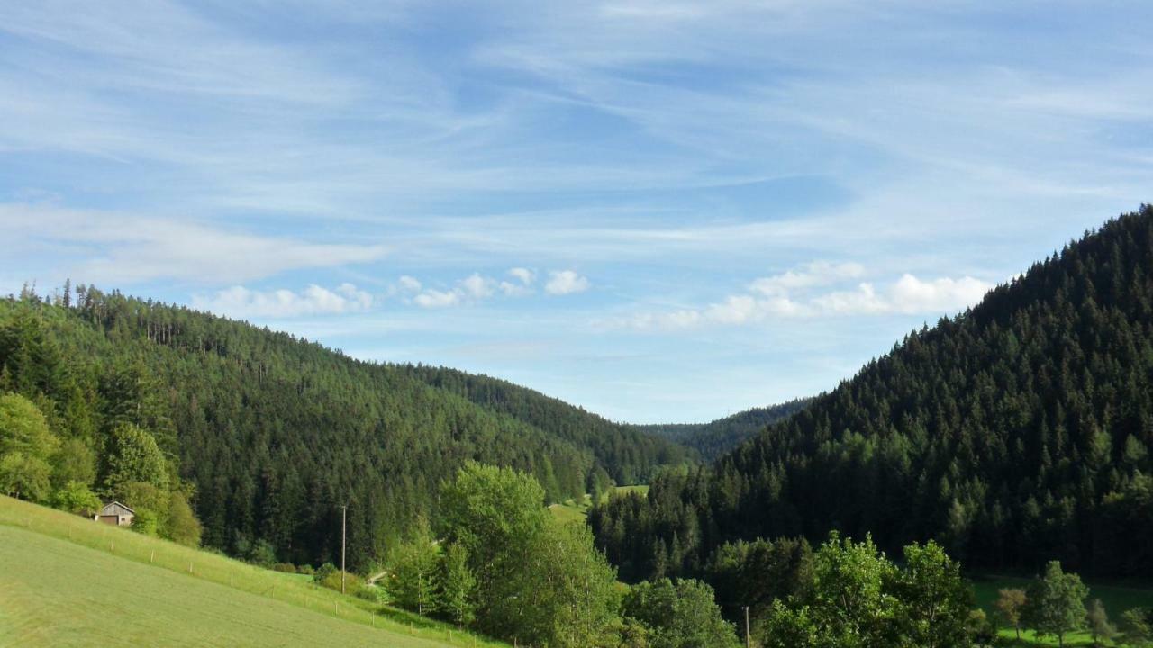 Ferienwohnung Kaufmann Baiersbronn Exterior photo